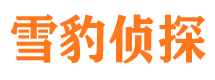 新宁找人公司